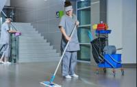 Green Maid- Eco Friendly Residential Cleaning image 1